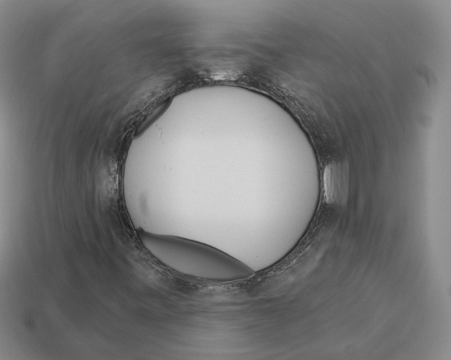 X0000112981443200909241211