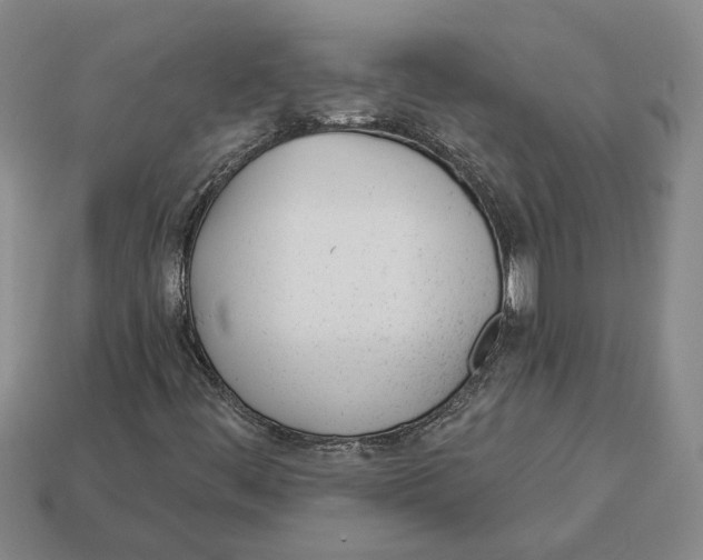 X0000112981444200909241211