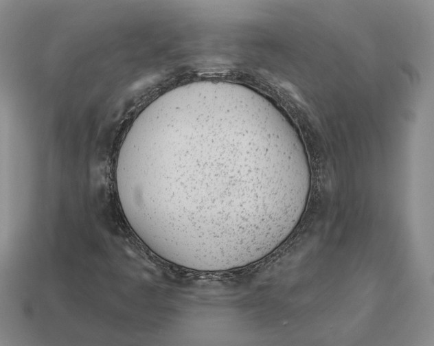 X0000112981445200909241211
