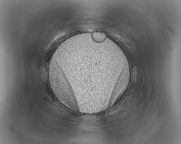 X0000112981446200909241211