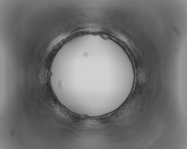 X0000112981448200909241211