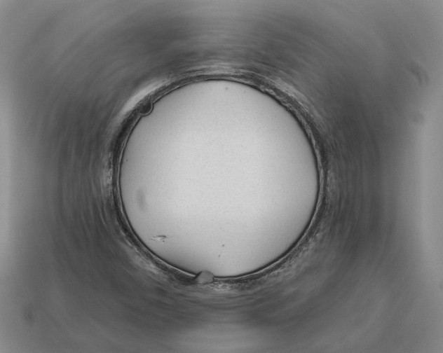 X0000112981450200909241210