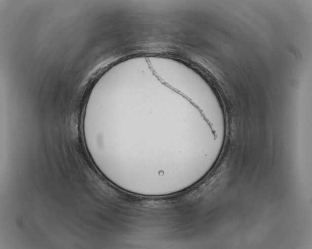 X0000112981451200909241210