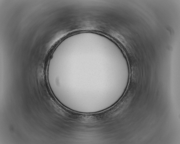 X0000112981452200909241210