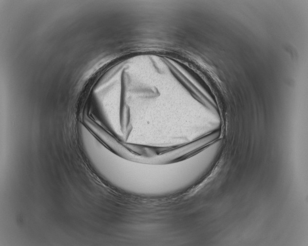 X0000112981453200909241210