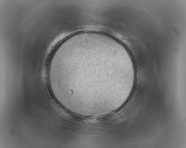 X0000112981454200909241210
