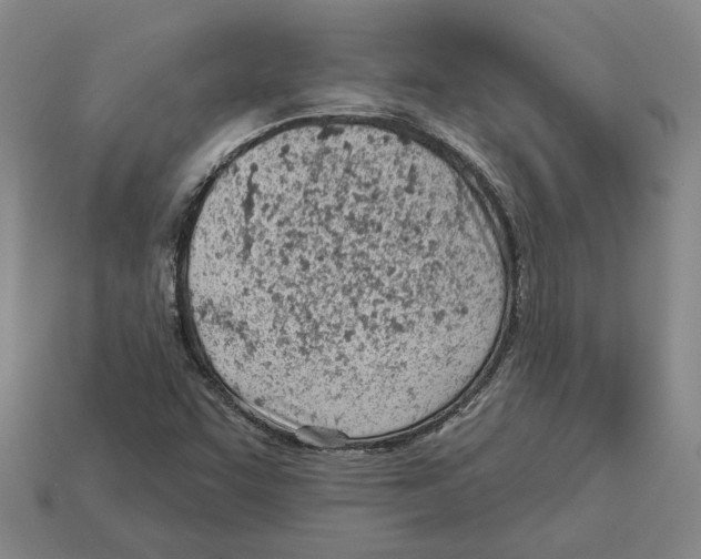 X0000112981455200909241210