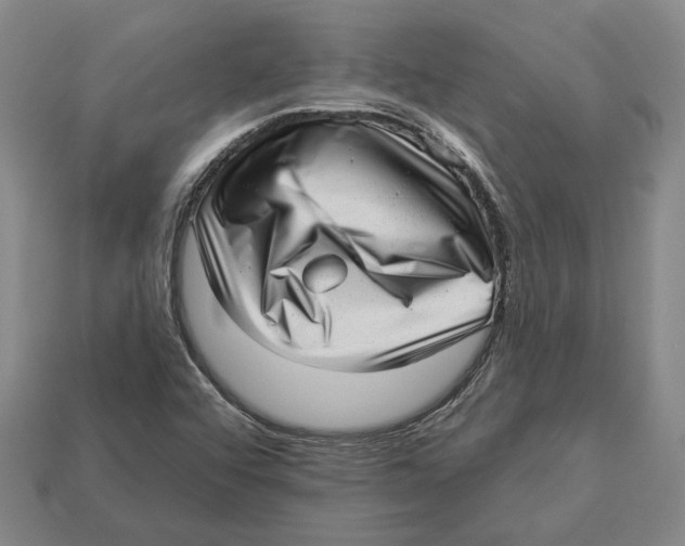 X0000112981456200909241210
