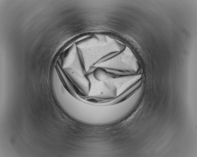 X0000112981457200909241210