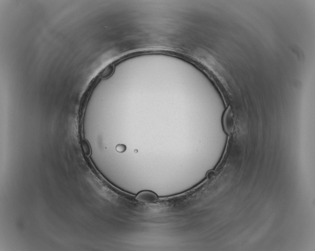 X0000112981460200909241210