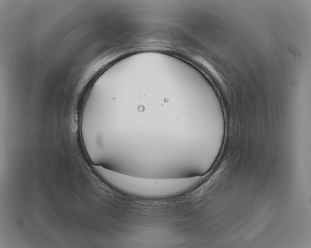 X0000112981461200909241210