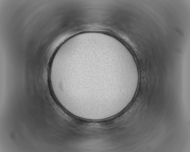 X0000112981463200909241210