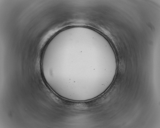 X0000112981464200909241210