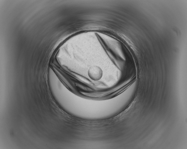 X0000112981465200909241210