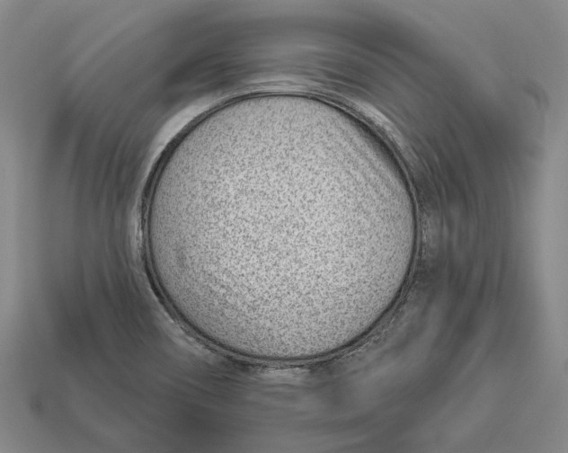 X0000112981466200909241210