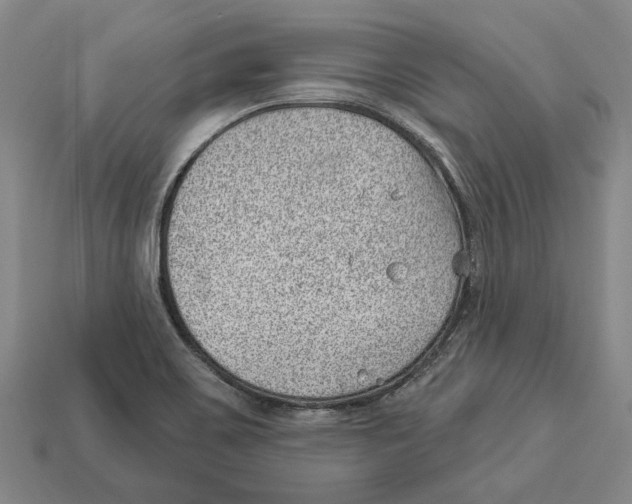 X0000112981467200909241210