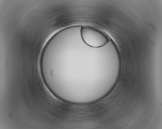 X0000112981468200909241210