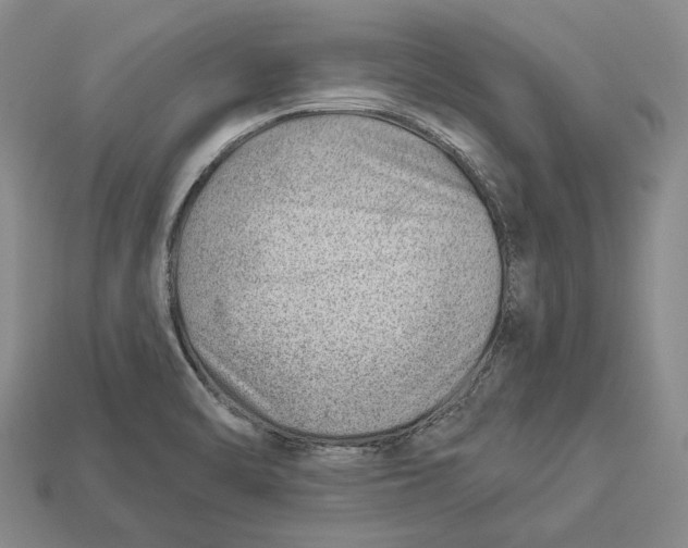 X0000112981470200909241210