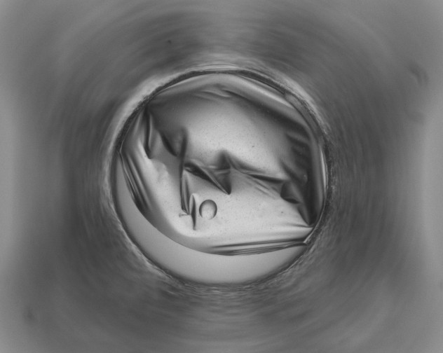 X0000112981472200909241210
