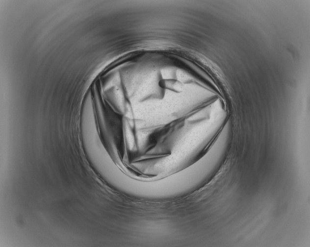 X0000112981473200909241210