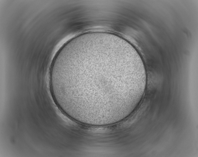 X0000112981474200909241210