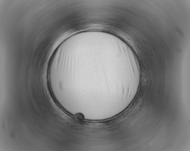 X0000112981475200909241210