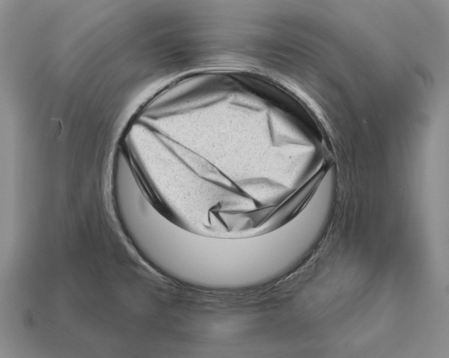 X0000112981477200909241210