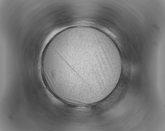 X0000112981478200909241210