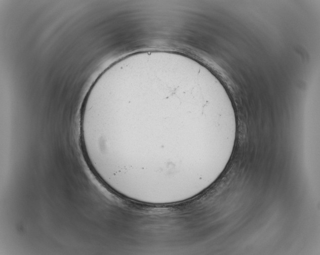 X0000112981479200909241210