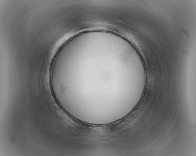 X0000112981480200909241210