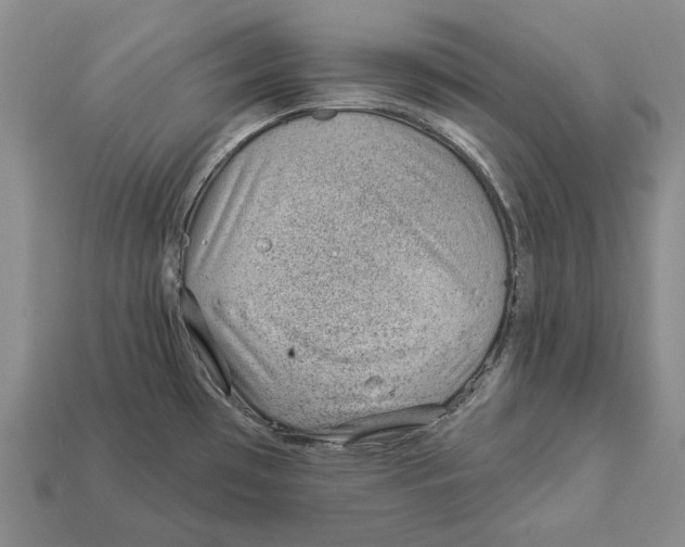 X0000112981481200909241210