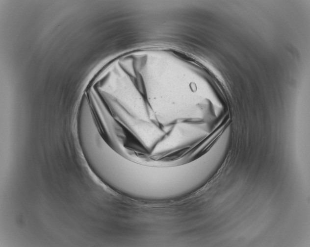 X0000112981484200909241210