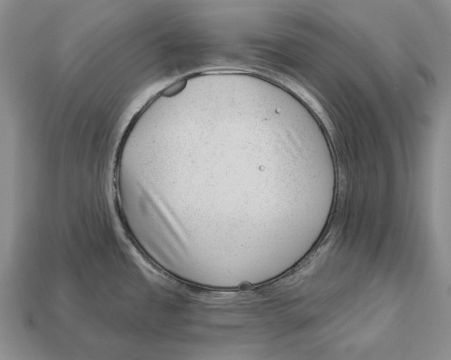 X0000112981485200909241210