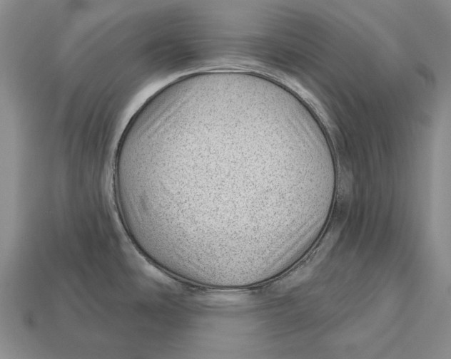 X0000112981486200909241210