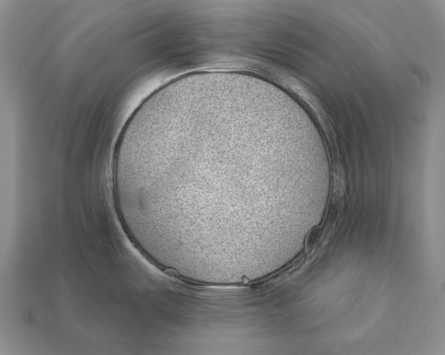 X0000112981487200909241210