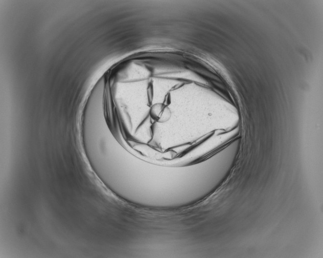 X0000112981488200909241210