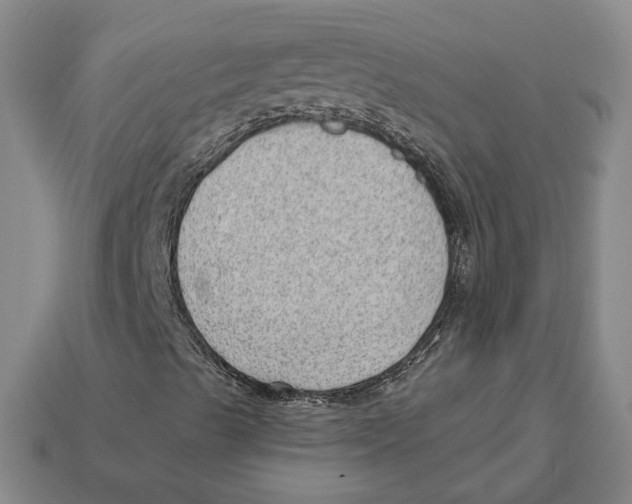 X0000112981489200909241209