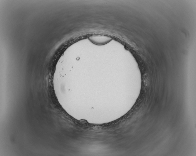 X0000112981495200909241209