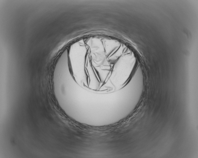 X0000112981496200909241209