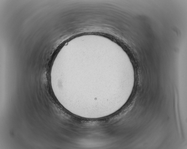 X0000112981497200909241209
