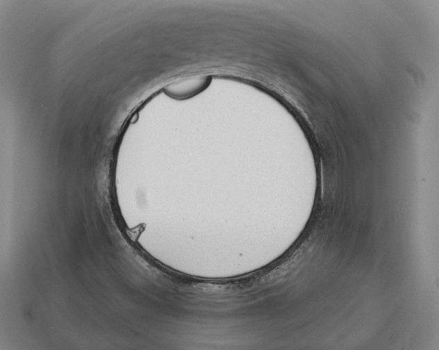 X0000112981500200909241209