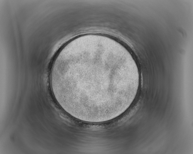 X0000112981501200909241209