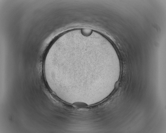 X0000112981503200909241209