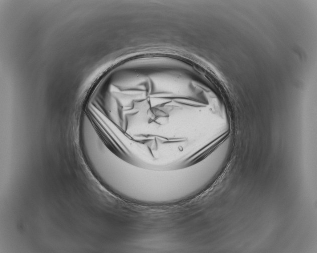 X0000112981504200909241209