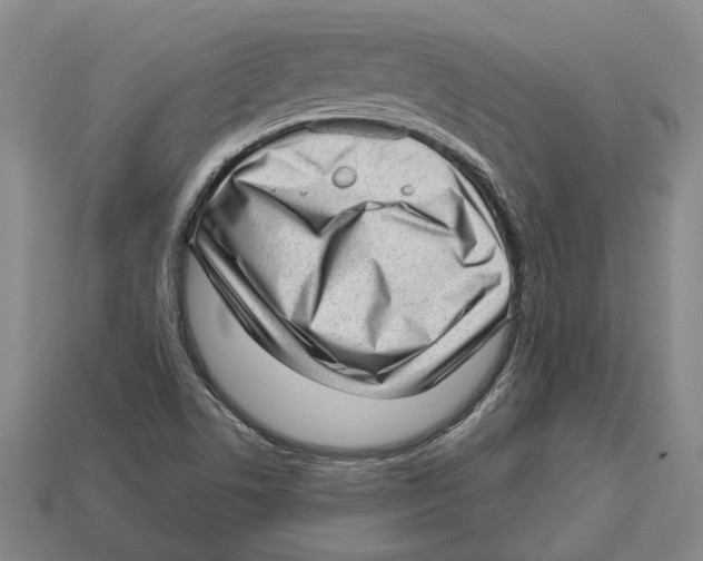 X0000112981506200909241209