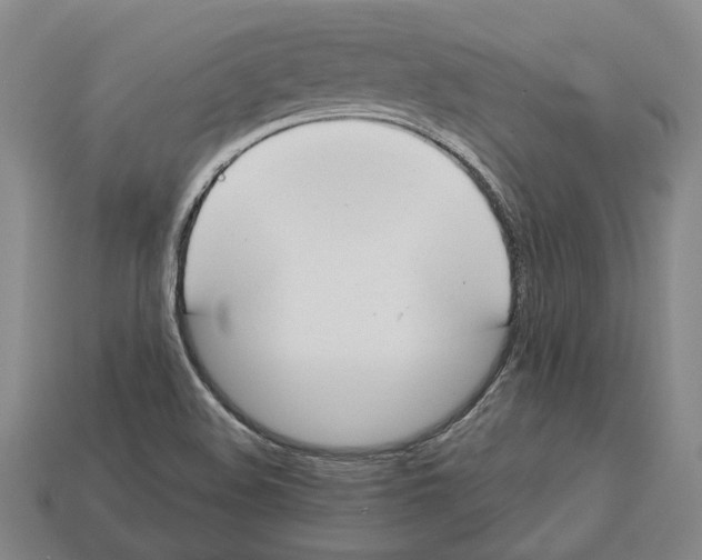 X0000112981508200909241209
