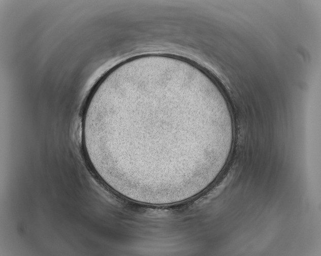 X0000112981509200909241209