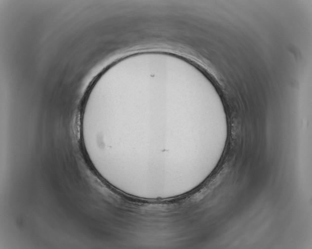 X0000112981510200909241209
