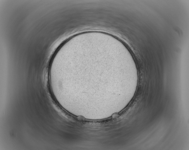 X0000112981511200909241209