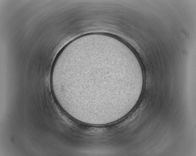 X0000112981513200909241209